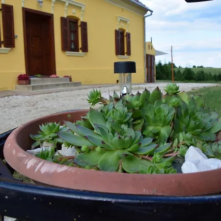 Apartament Porrogi Fenyo Vendeghaz